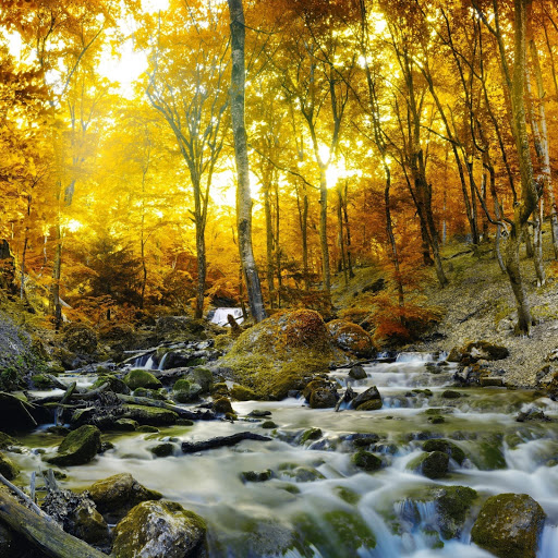 Hd-147617-ascw147617