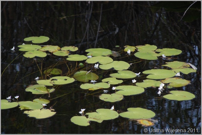 DSC_0105 DSC_0105