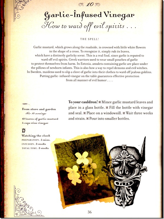 garlic infused vinegar sorceror cookbook page 1