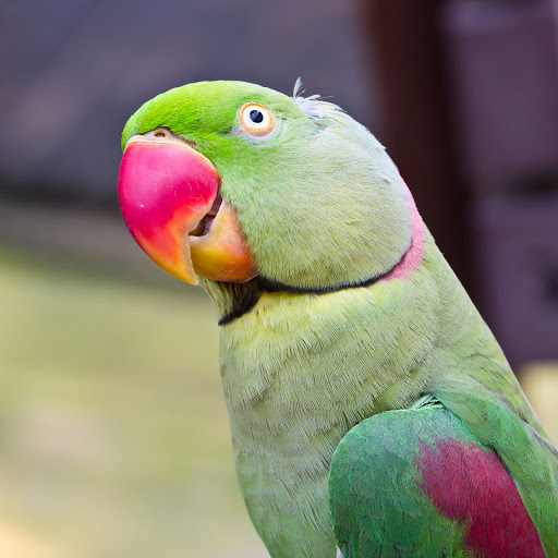 Hd-156182-ascw156182