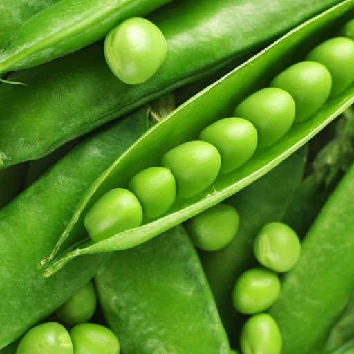 Hd-162166-ascw162166