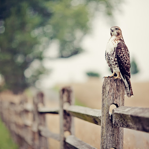 Hd-145379-ascw145379