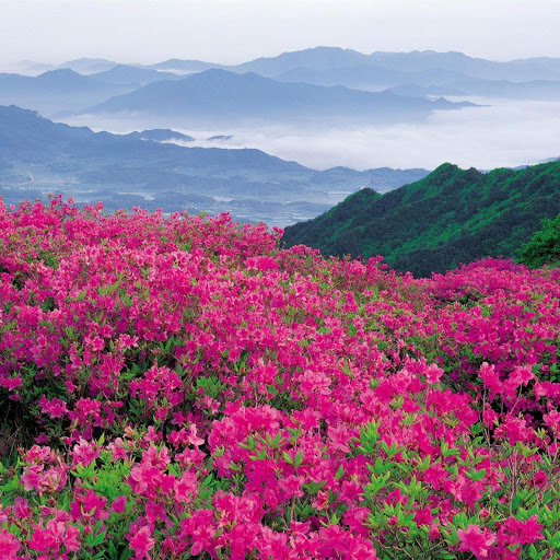 Hd-156570-ascw156570