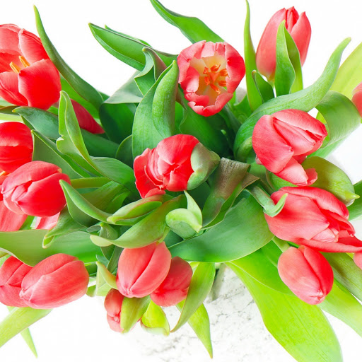 Hd-141229-ascw141229