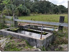 Water trough by gate