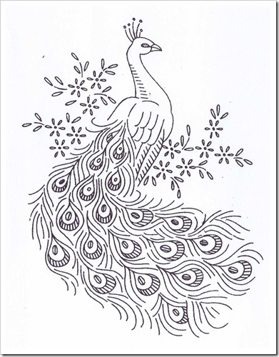 Peacock Pattern