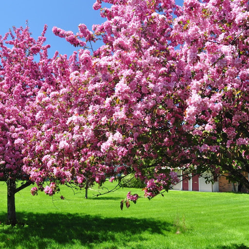 Hd-152003-ascw152003