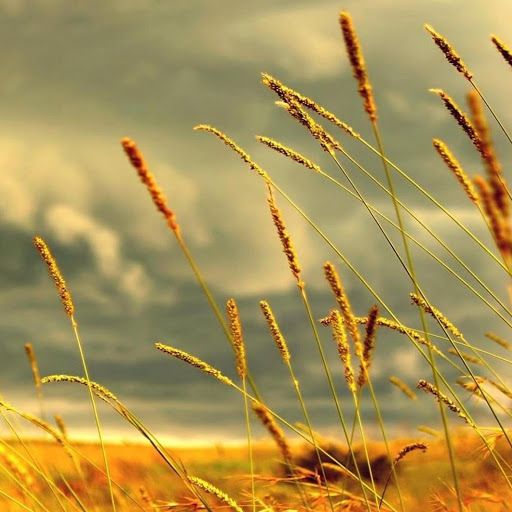 Hd-164810-ascw164810