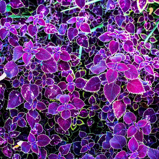 Hd-151929-ascw151929