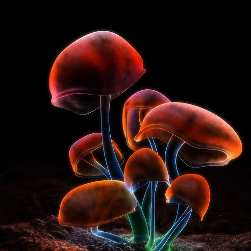 Hd-164893-ascw164893