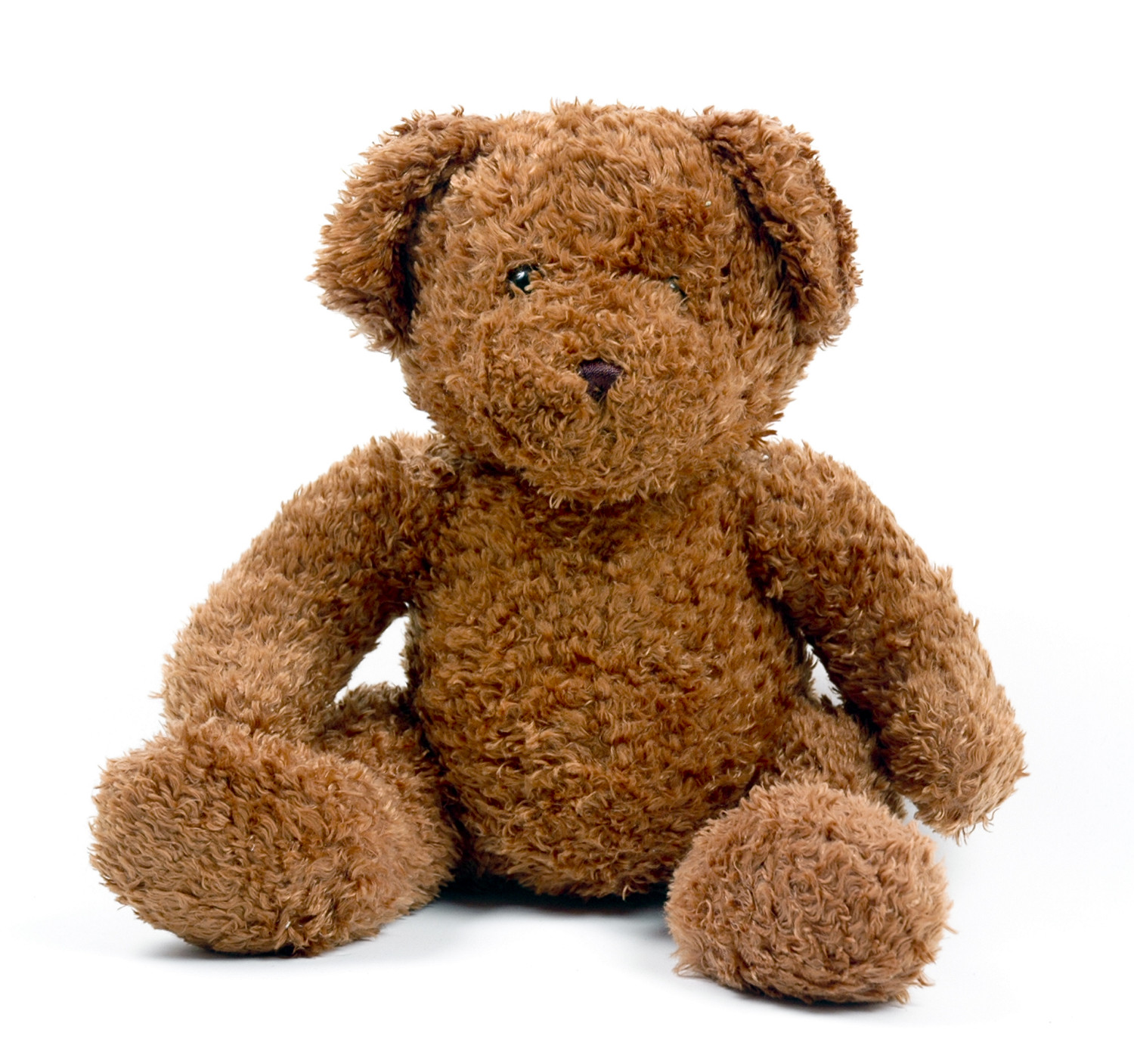 465493-teddy_bear.jpg