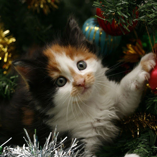 Hd-172851-ascw172851