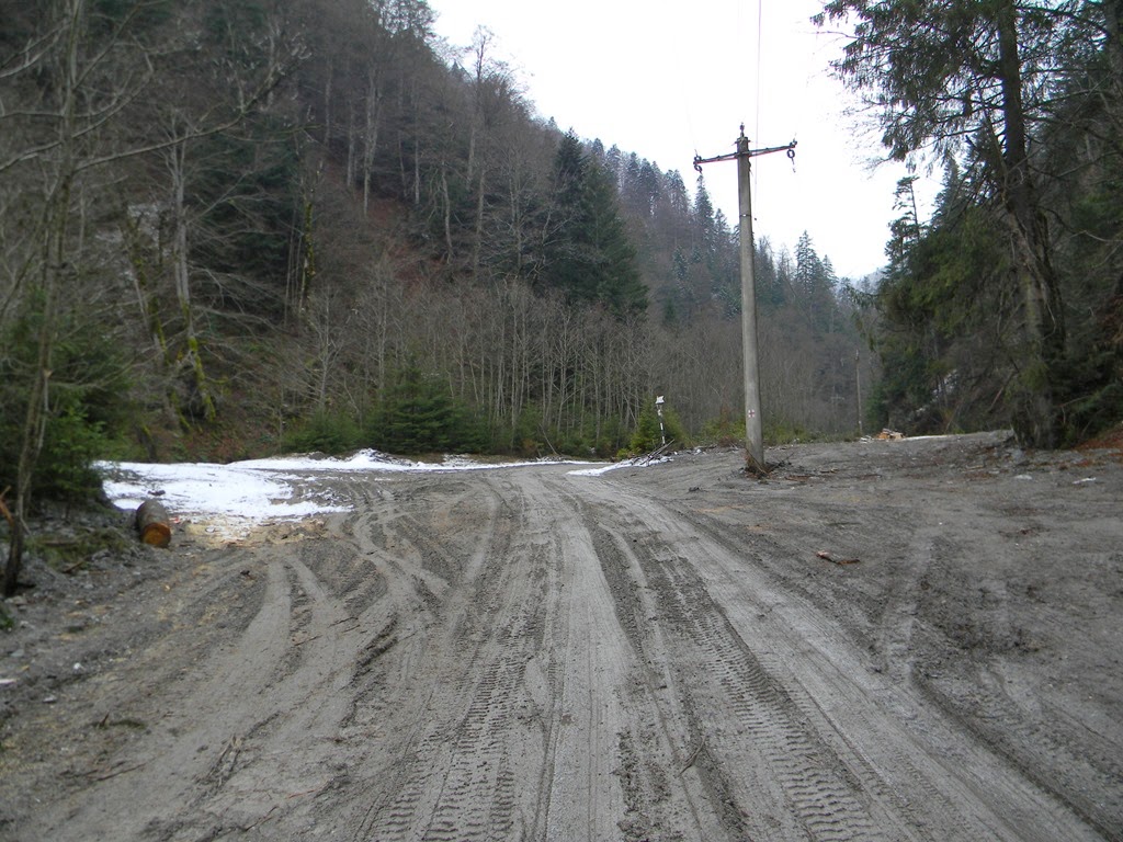 [DSCN04433.jpg]