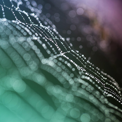 Hd-152082-ascw152082