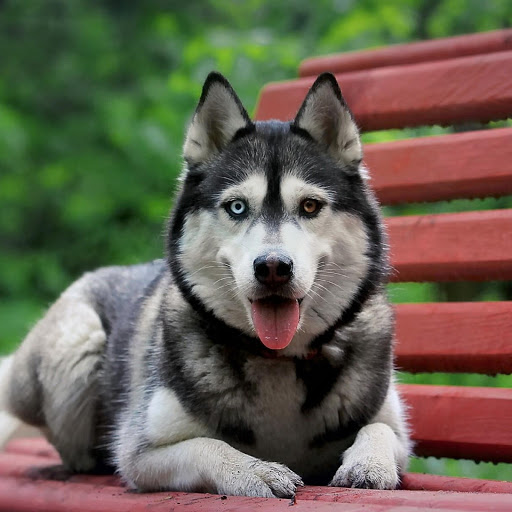 Hd-179958-ascw179958