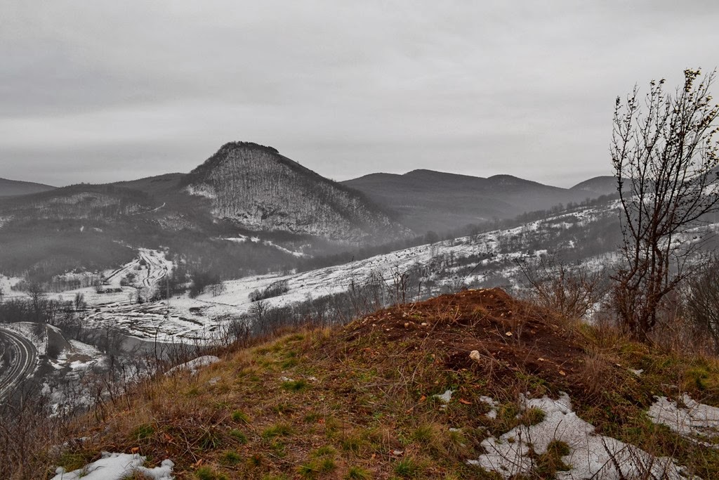 [DSC_25393.jpg]