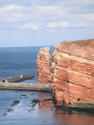 2013-09-10 MSC Magnifica - 052