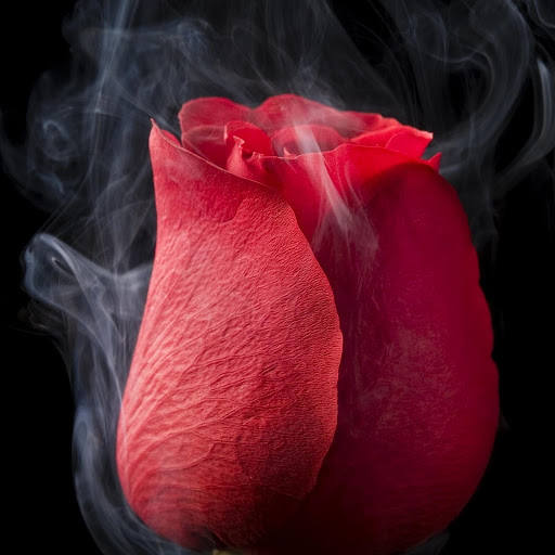 Hd-149976-ascw149976