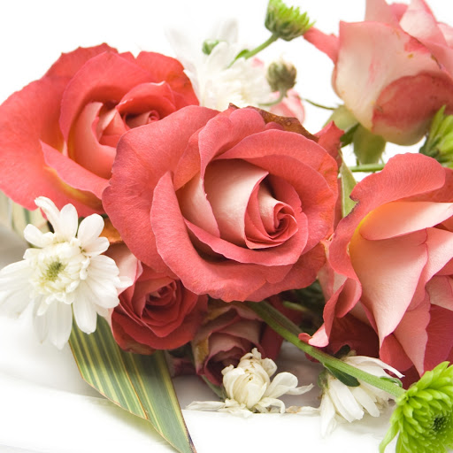 Hd-144731-ascw144731