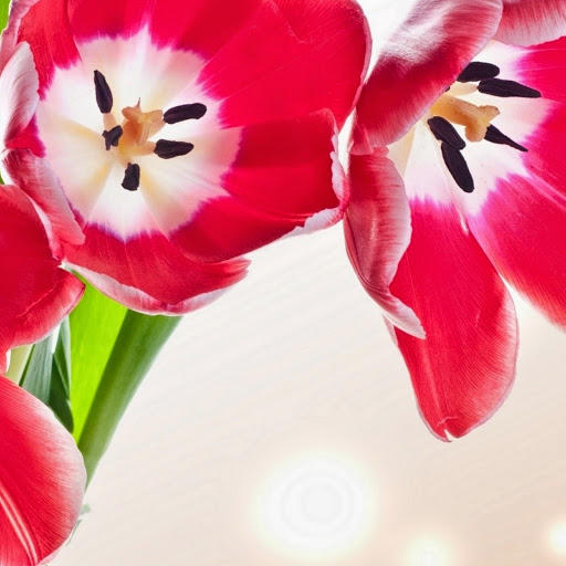 Hd-143894-ascw143894