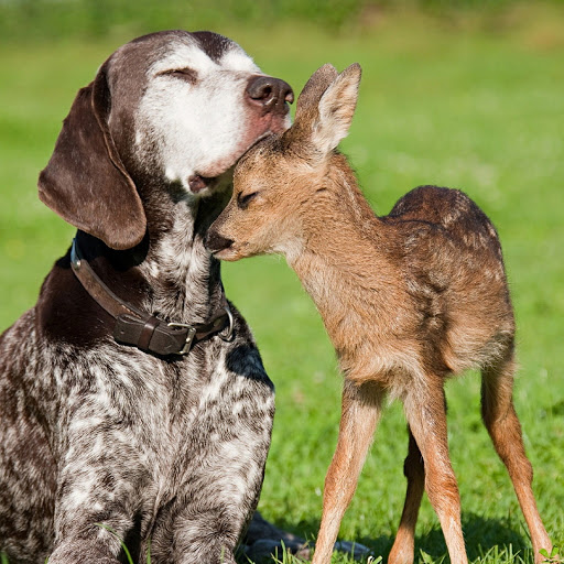 Hd-180467-ascw180467