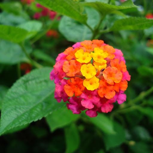 Hd-174089-ascw174089