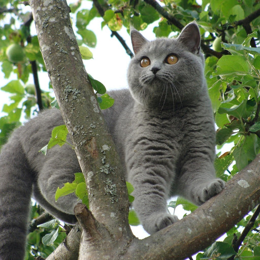 Hd-181040-ascw181040