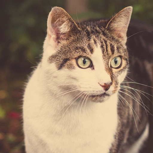 Hd-185593-ascw185593