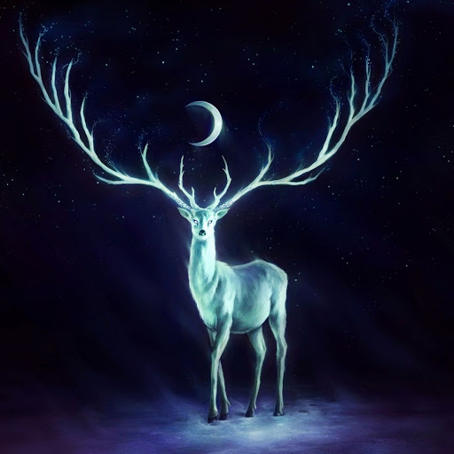 Hd-172856-ascw172856