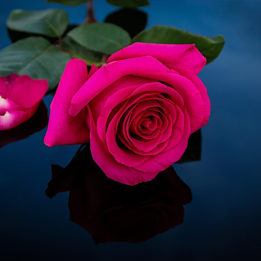 Hd-190569-ascw190569