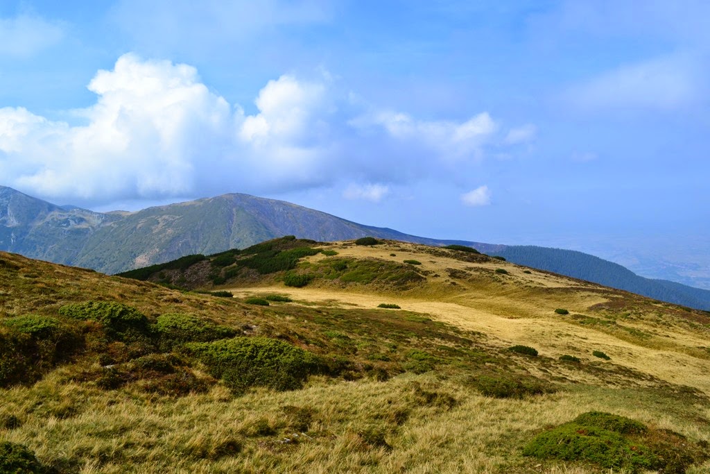 [DSC_89893.jpg]