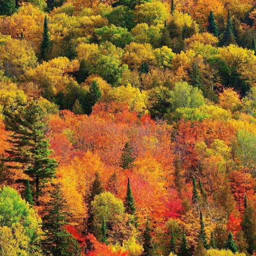 Hd-141141-ascw141141