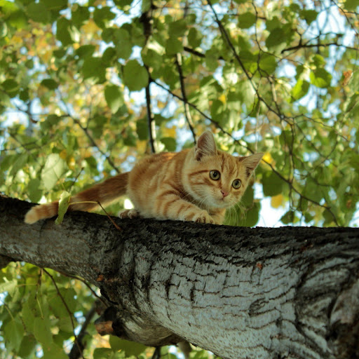 Hd-162185-ascw162185