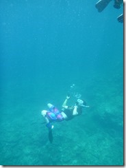 2013 Ishigaki 042 2013 Ishigaki 042
