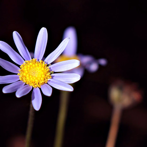 Hd-138579-ascw138579