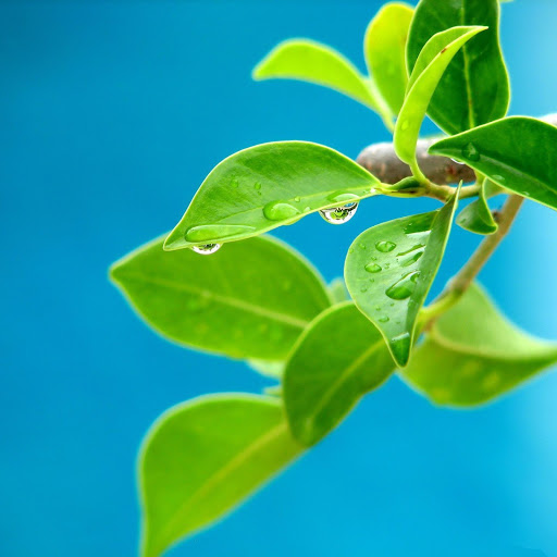 Hd-143398-ascw143398