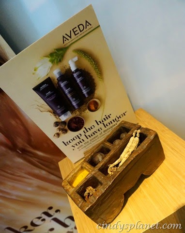 [Aveda5%255B3%255D.jpg.webp]