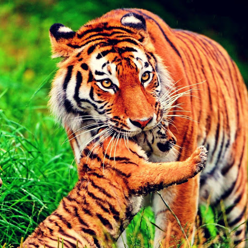 Hd-172834-ascw172834