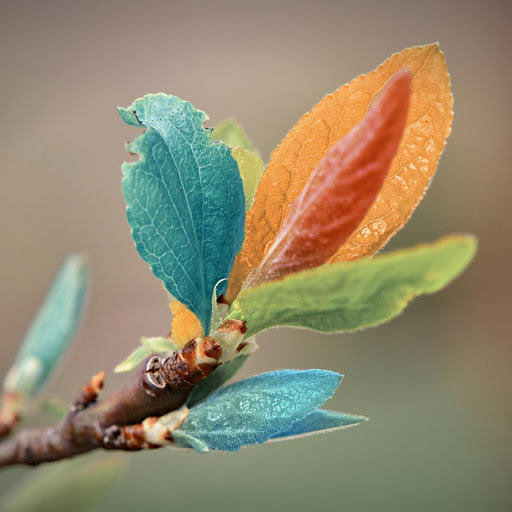 Hd-141903-ascw141903