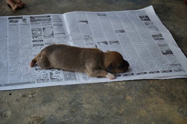[Baby%2520TinTin%25202%255B2%255D.jpg]