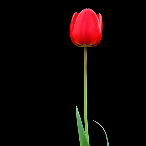 Hd-140096-ascw140096