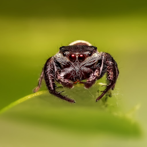 Hd-183458-ascw183458