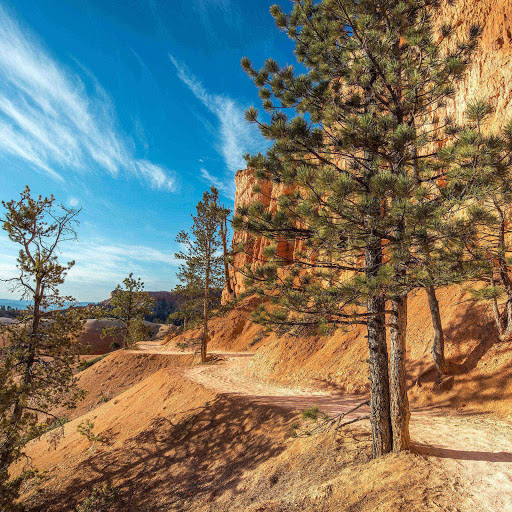 Hd-183107-ascw183107