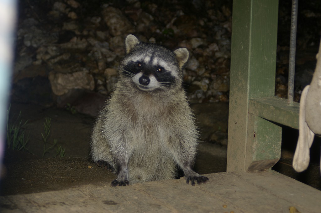 [Pentax%2520010%255B4%255D.jpg]