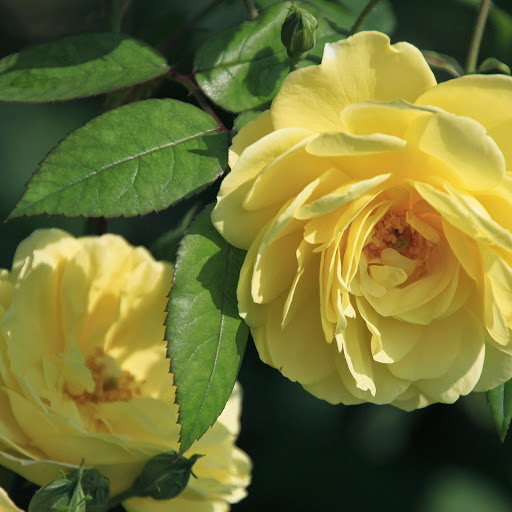 Hd-143869-ascw143869