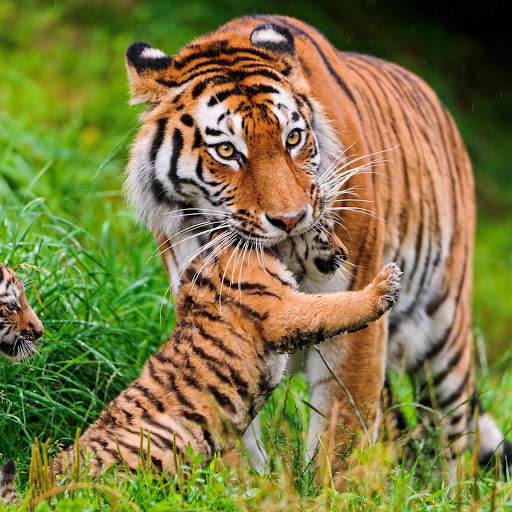 Hd-156453-ascw156453