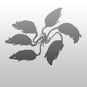 Flocking Tutorial logo