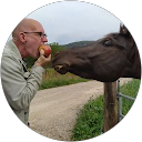 Image Google de Alexandre damore