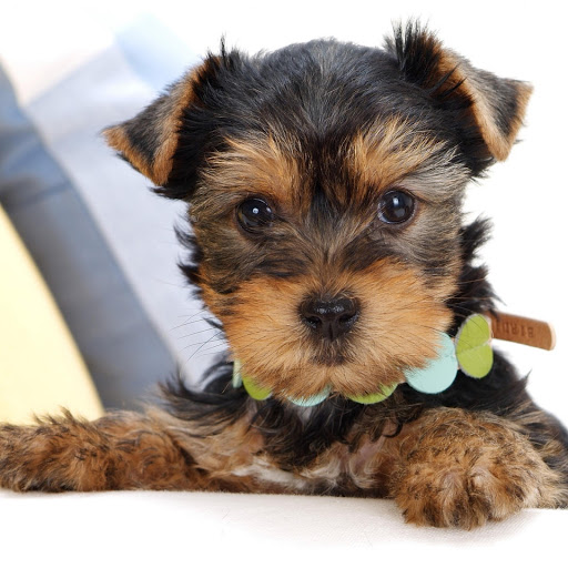 Hd-166673-ascw166673