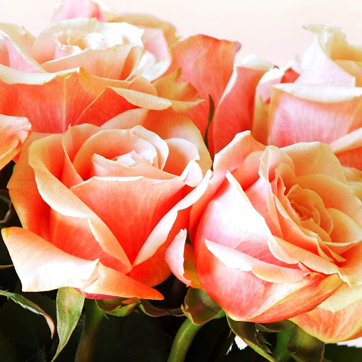 Hd-145944-ascw145944